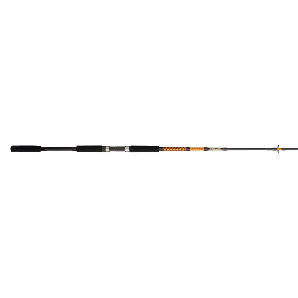 Bigwater 2-Piece Spinning Rod