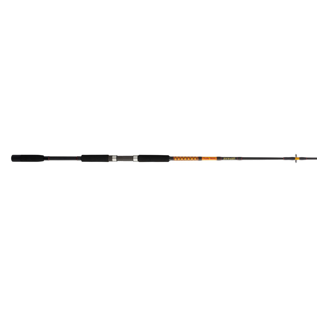 Bigwater Spinning Rod