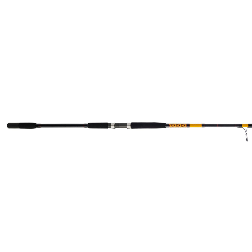 Bigwater 2-Piece Spinning Rod