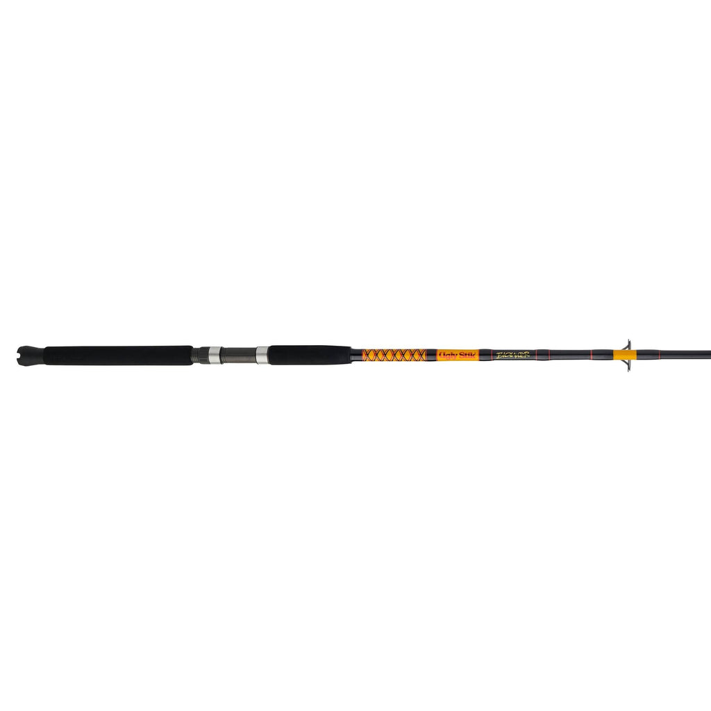 Bigwater Spinning Rod
