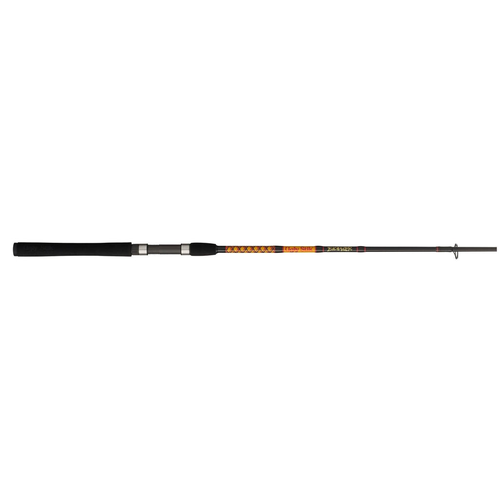 Bigwater 2-Piece Spinning Rod