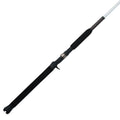 Striper Spinning Rod